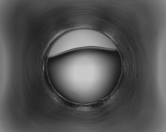 X0000086960350200704161129