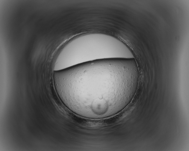 X0000086960351200704161129
