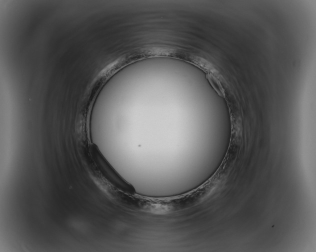 X0000086960352200704161129