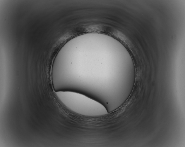 X0000086960353200704161129