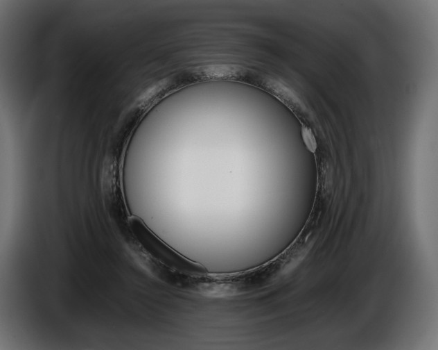 X0000086960356200704161129
