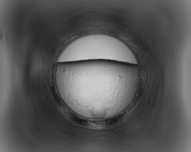 X0000086960359200704161129