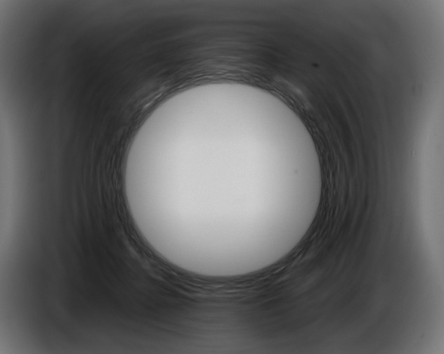 X0000086960364200704161129