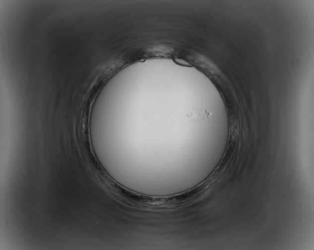 X0000086960365200704161129