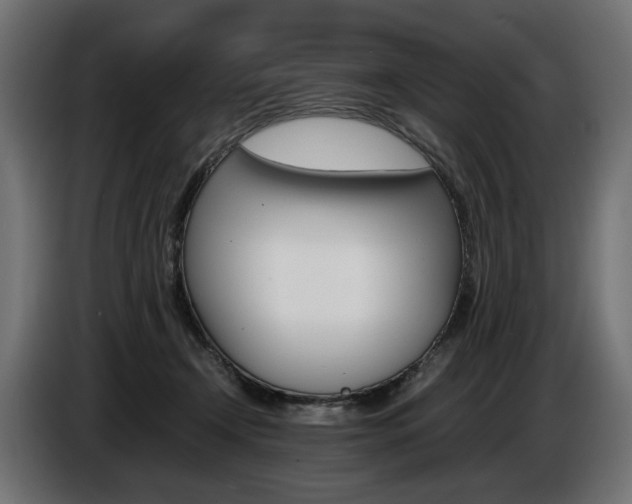 X0000086960366200704161129