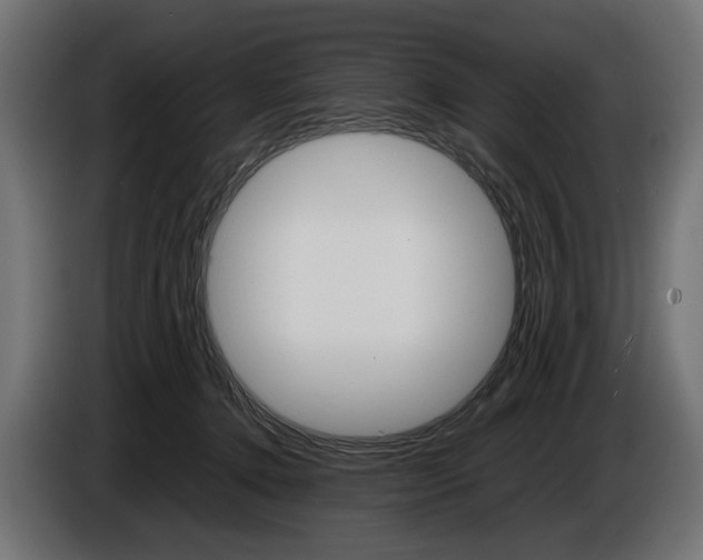 X0000086960368200704161129
