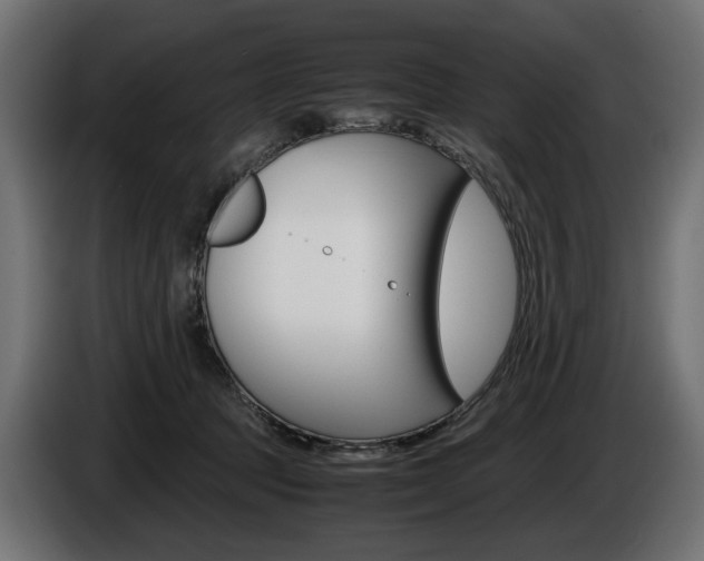 X0000086960369200704161129