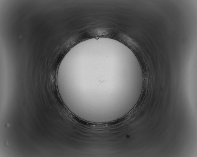 X0000086960373200704161129