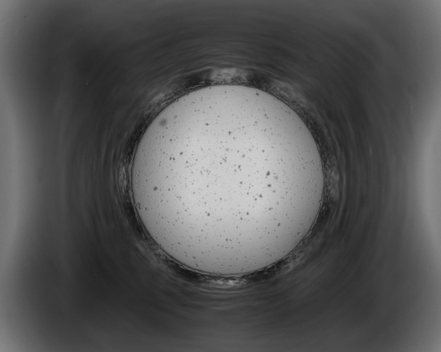 X0000086960375200704161129