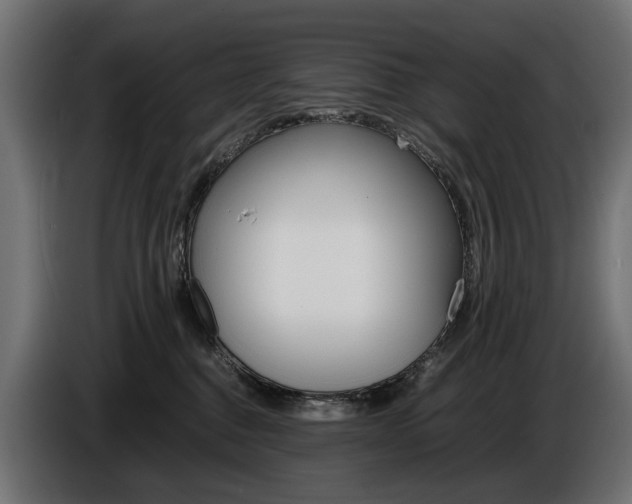 X0000086960376200704161129