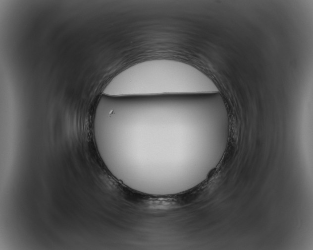 X0000086960378200704161129