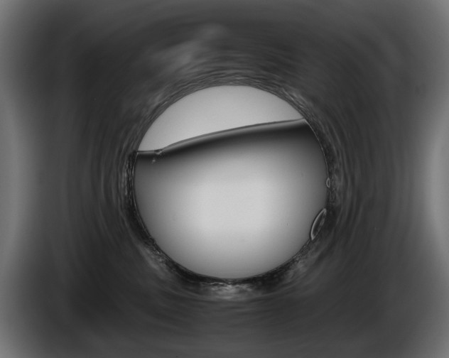 X0000086960379200704161129