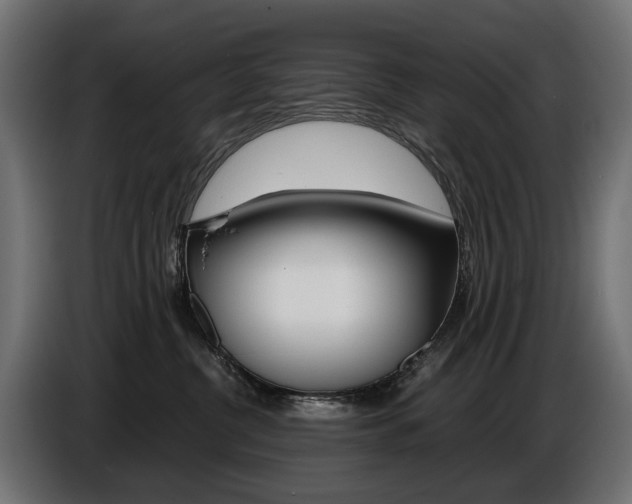 X0000086960380200704161129