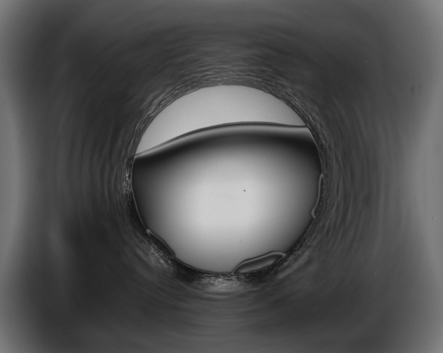 X0000086960384200704161129