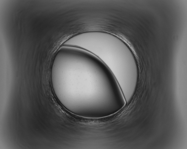 X0000086960385200704161129
