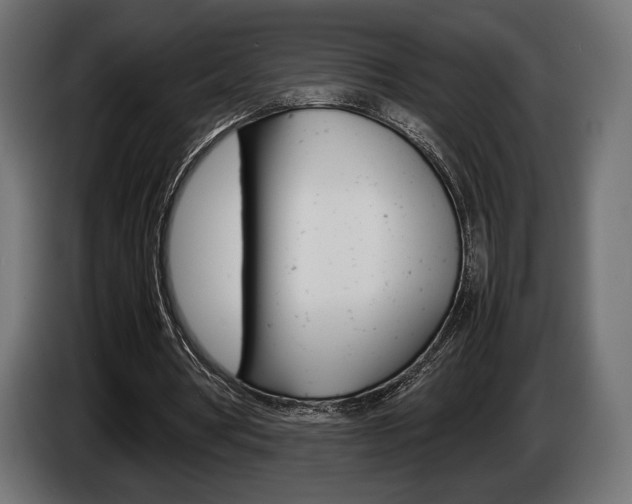 X0000086960386200704161129