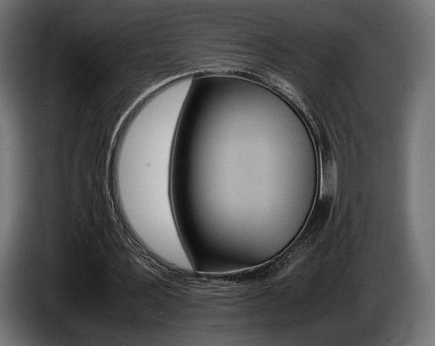 X0000086960387200704161129