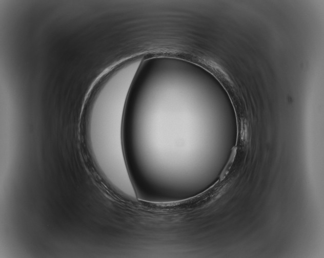 X0000086960388200704161129