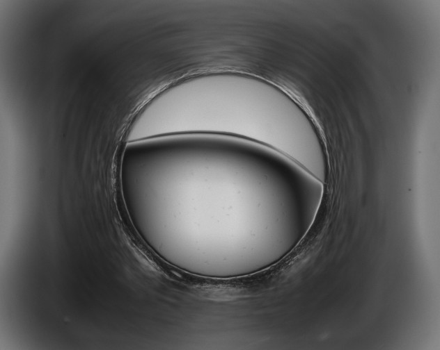 X0000086960389200704161129