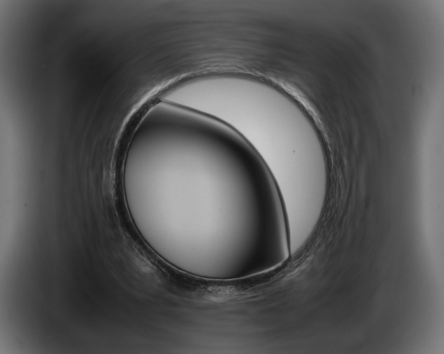 X0000086960391200704161128