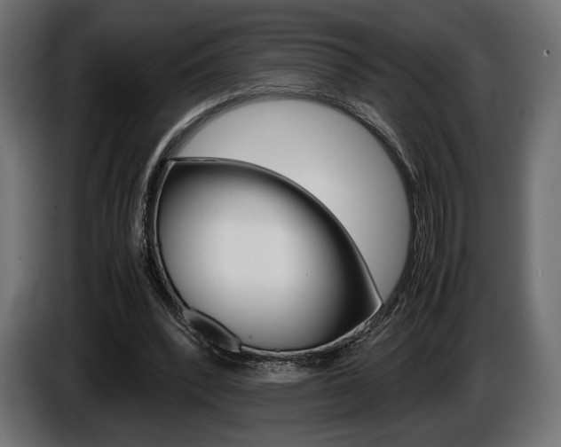 X0000086960392200704161128
