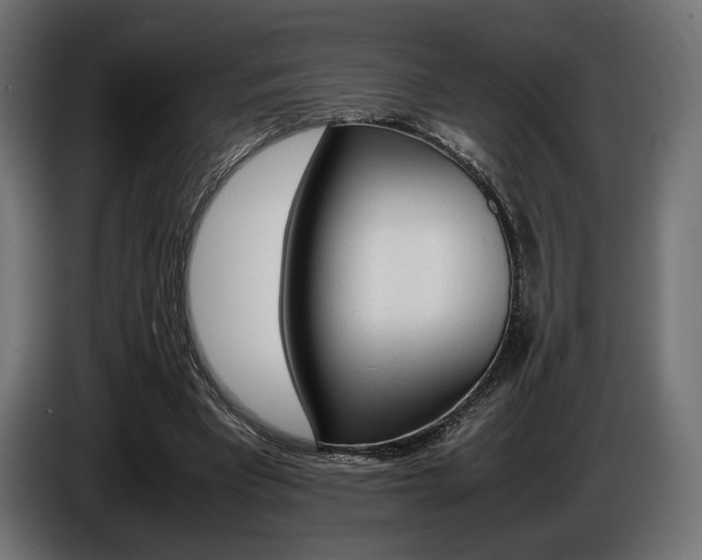 X0000086960393200704161128
