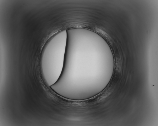 X0000086960394200704161128