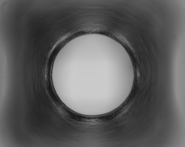 X0000086960396200704161128