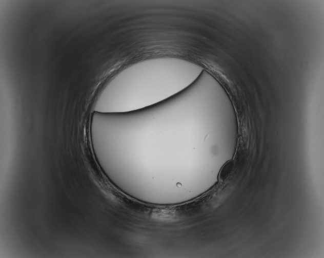 X0000086960398200704161128