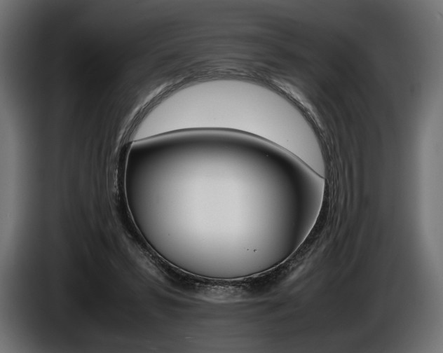 X0000086960399200704161128