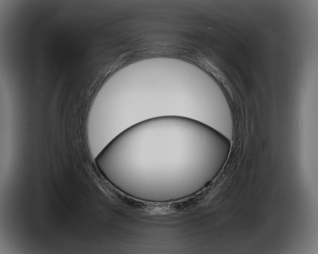 X0000086960401200704161128