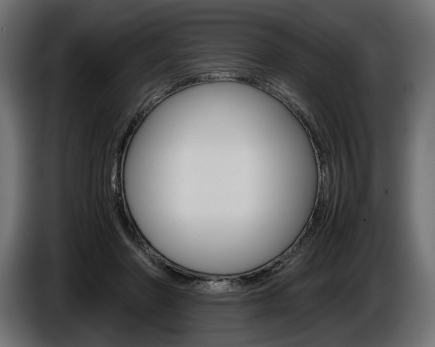 X0000086960406200704161128