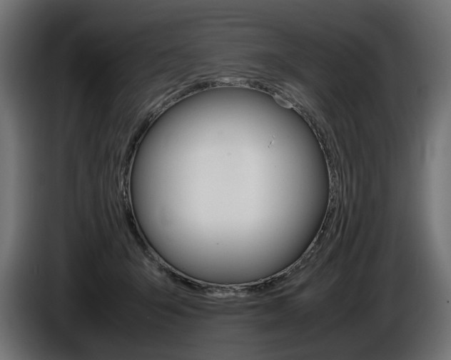X0000086960415200704161128
