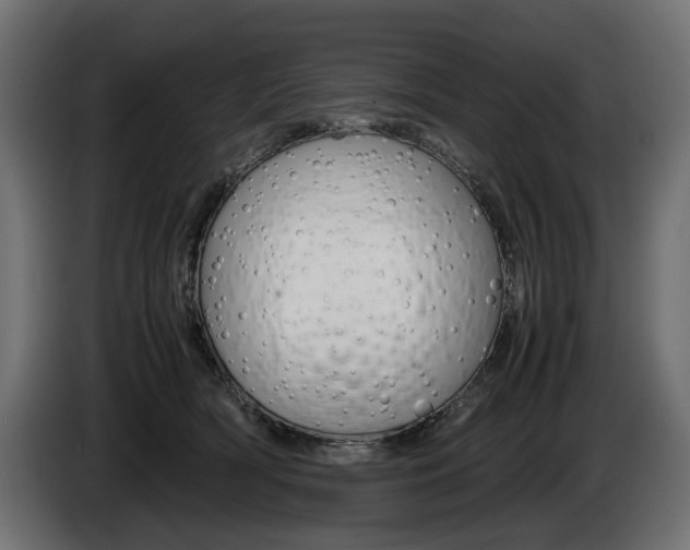X0000086960418200704161128