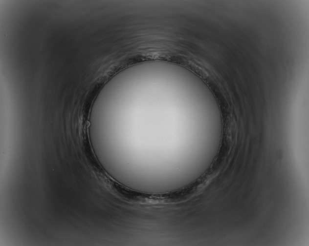 X0000086960420200704161128