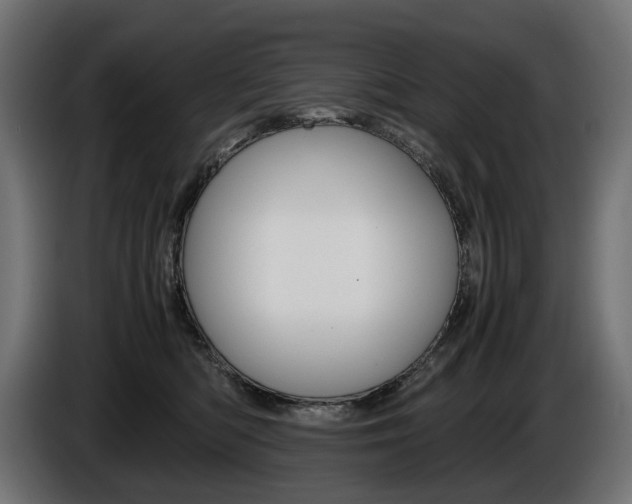X0000086960422200704161128