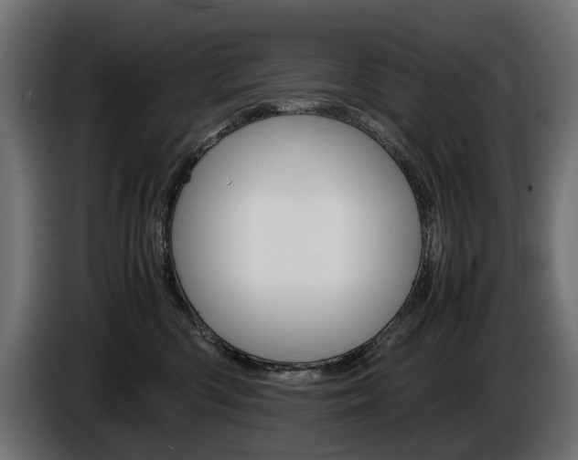X0000086960426200704161128
