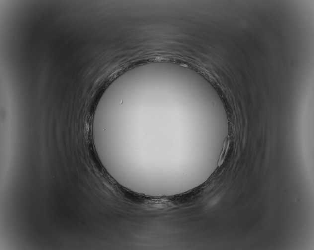 X0000086960427200704161128