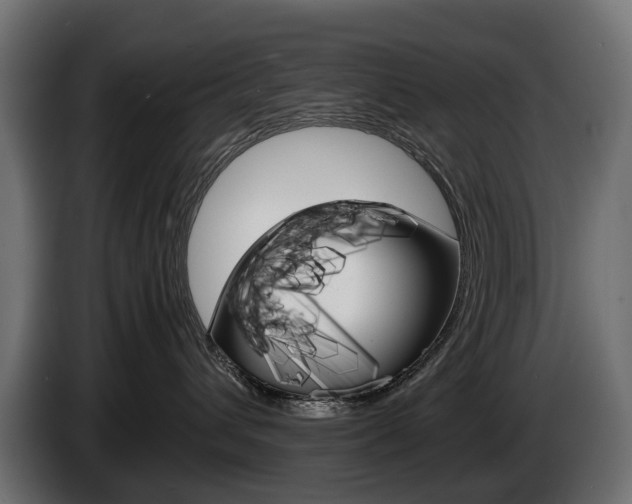 X0000086960432200704161128