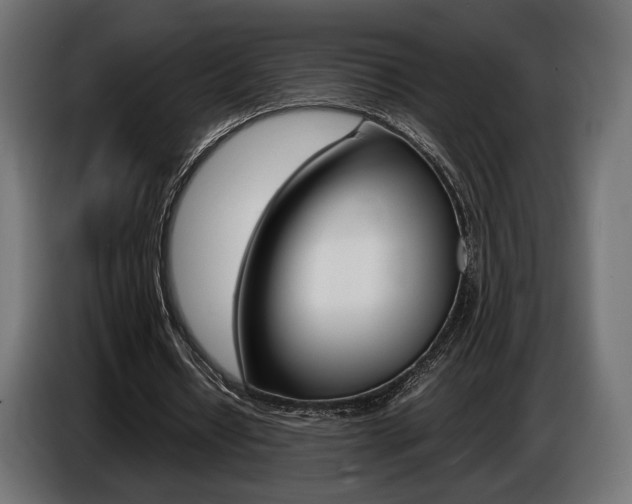X0000086960434200704161127