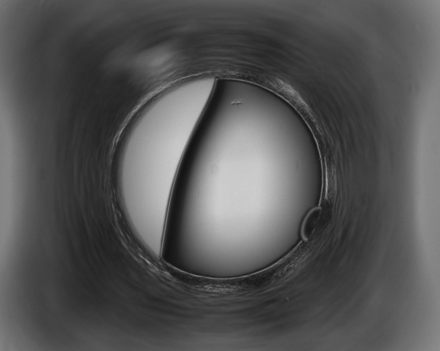 X0000086960435200704161127