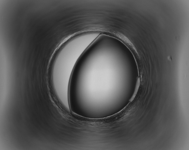 X0000086960436200704161127