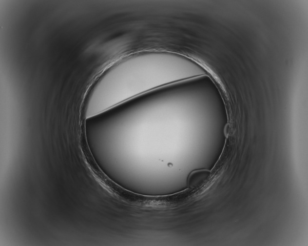 X0000086960437200704161127
