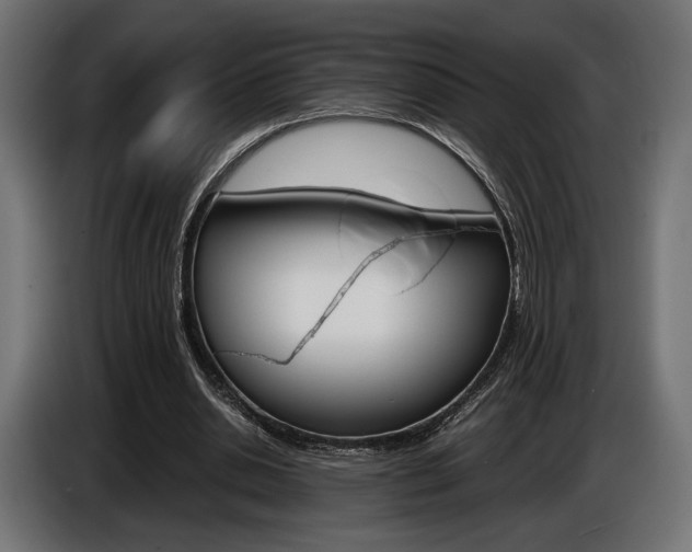 X0000086960438200704161127