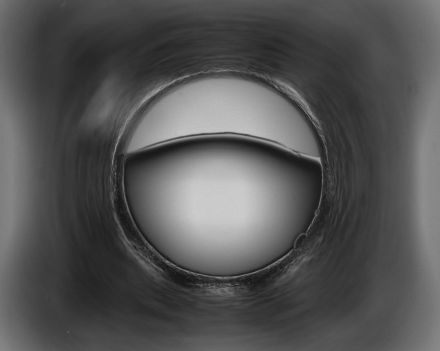 X0000086960439200704161127