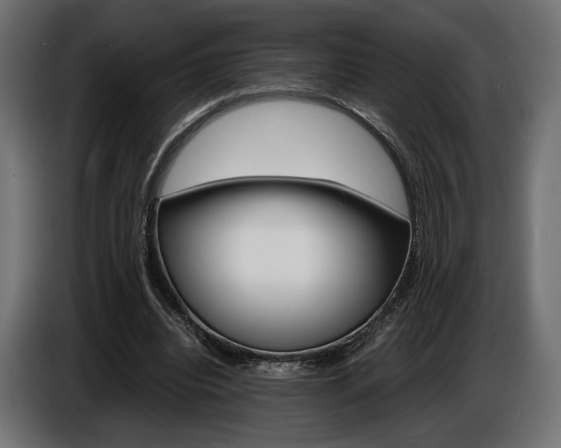 X0000086960440200704161127