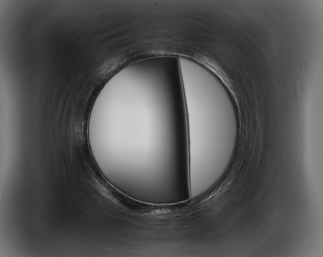 X0000086960441200704161127