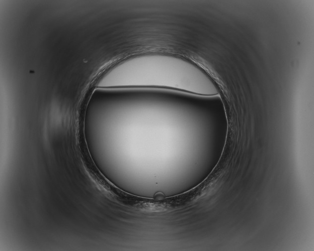 X0000086960442200704161127