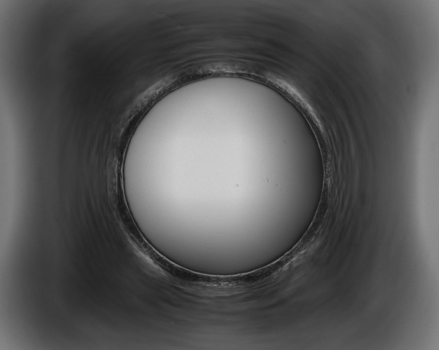 X0000086960445200704161127