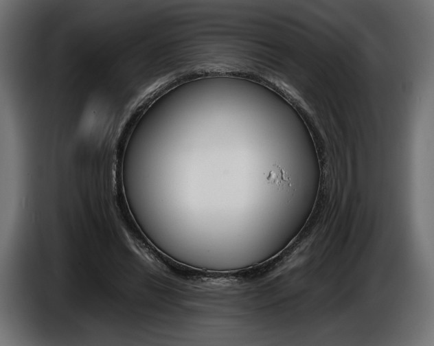 X0000086960446200704161127